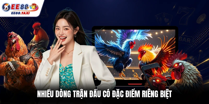 Nhiều dòng trận đấu có đặc điểm riêng biệt